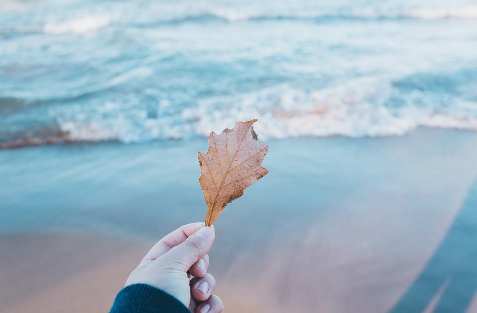 girl's hand holding a leaf in front of ocean shore